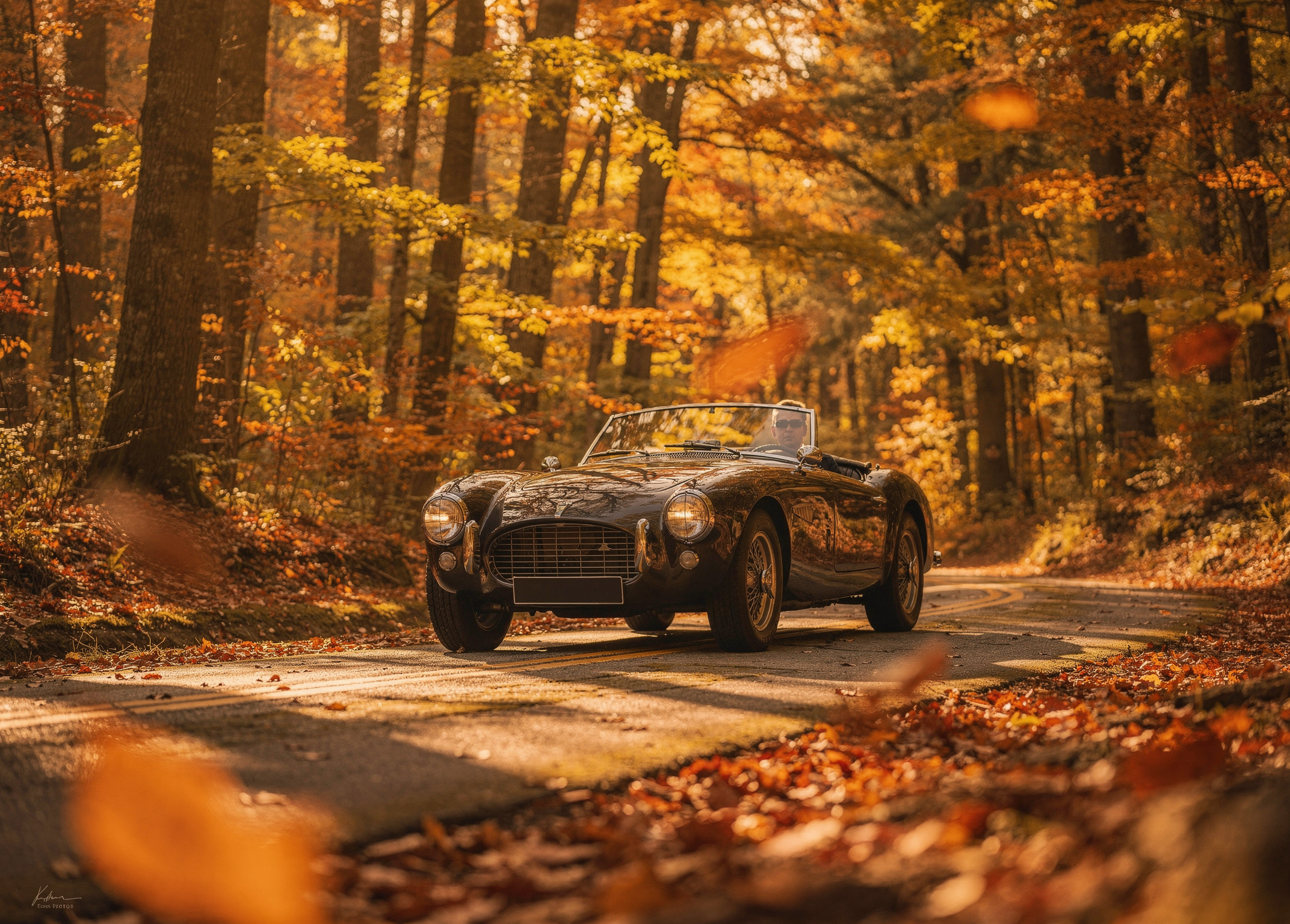 Forest Roadster poster