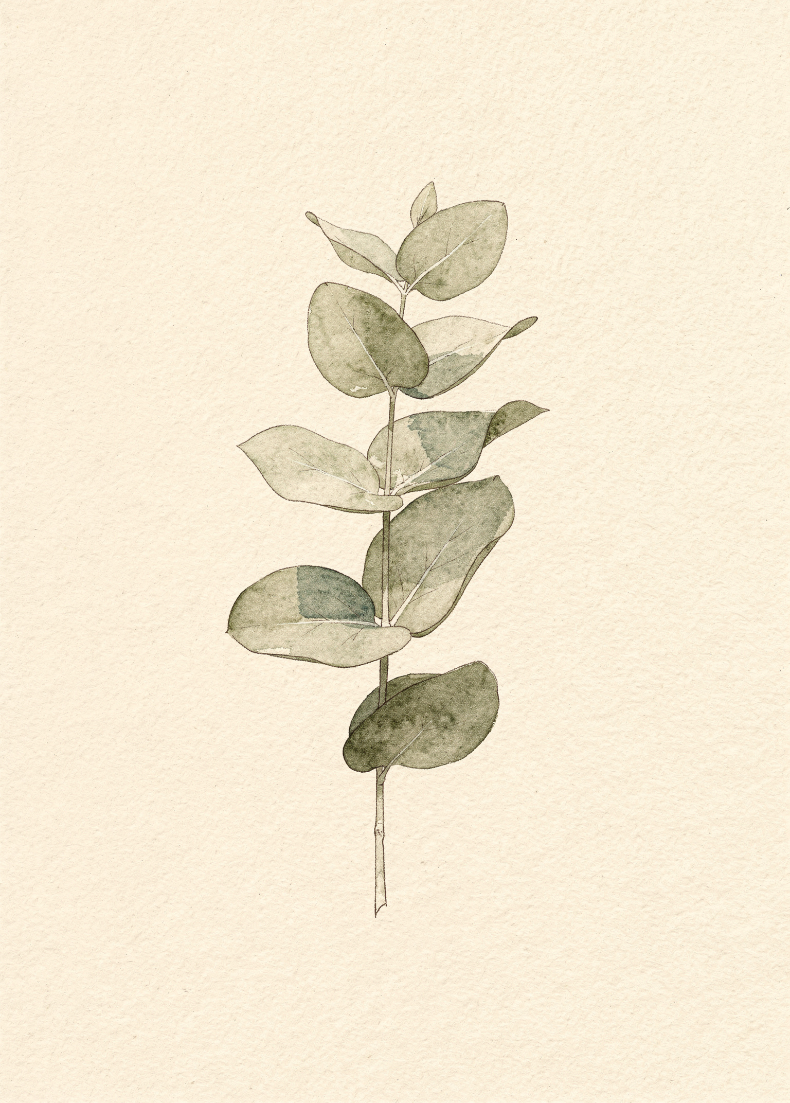 Quiet Sprig 6 poster