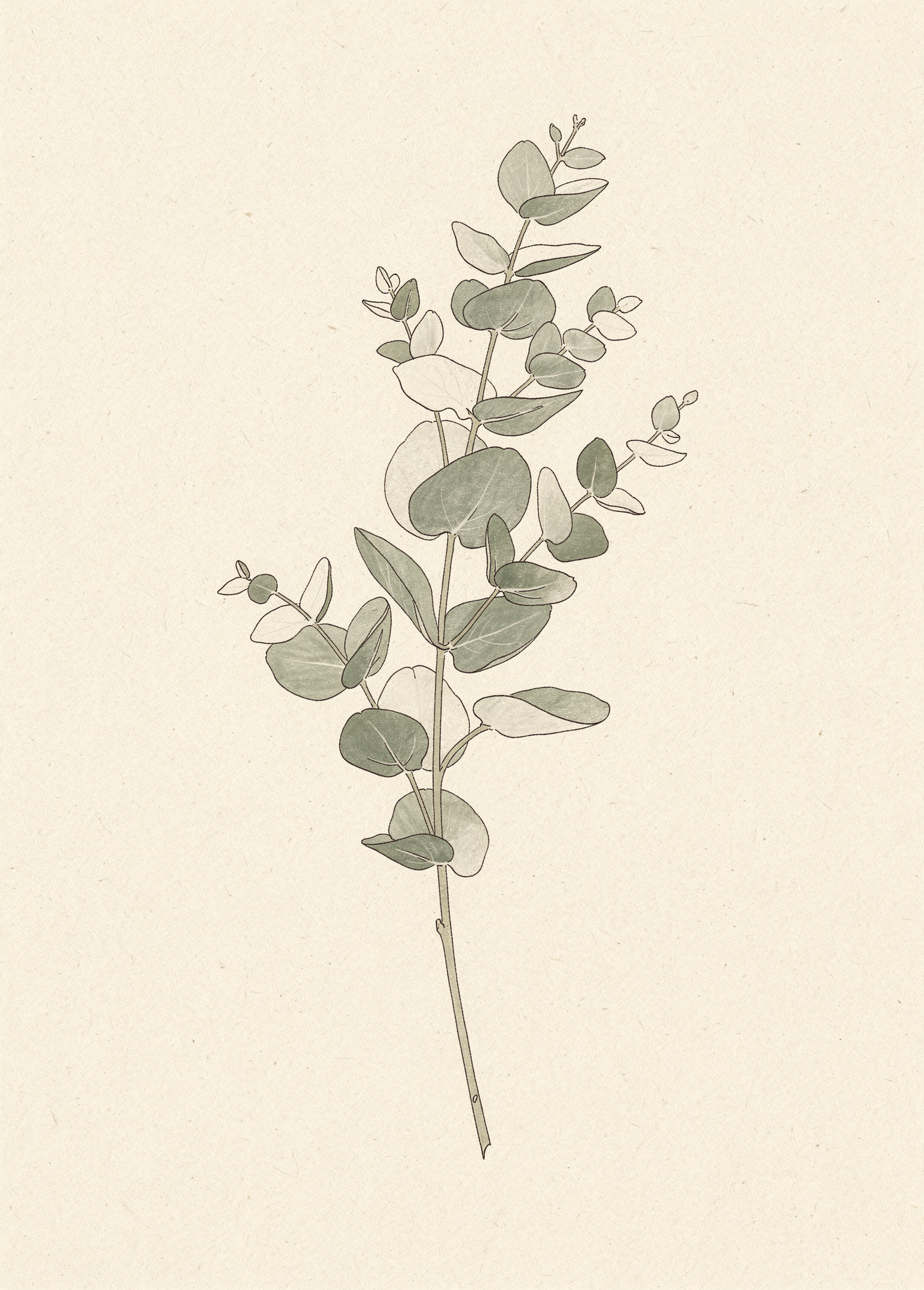 Quiet Sprig 7 poster