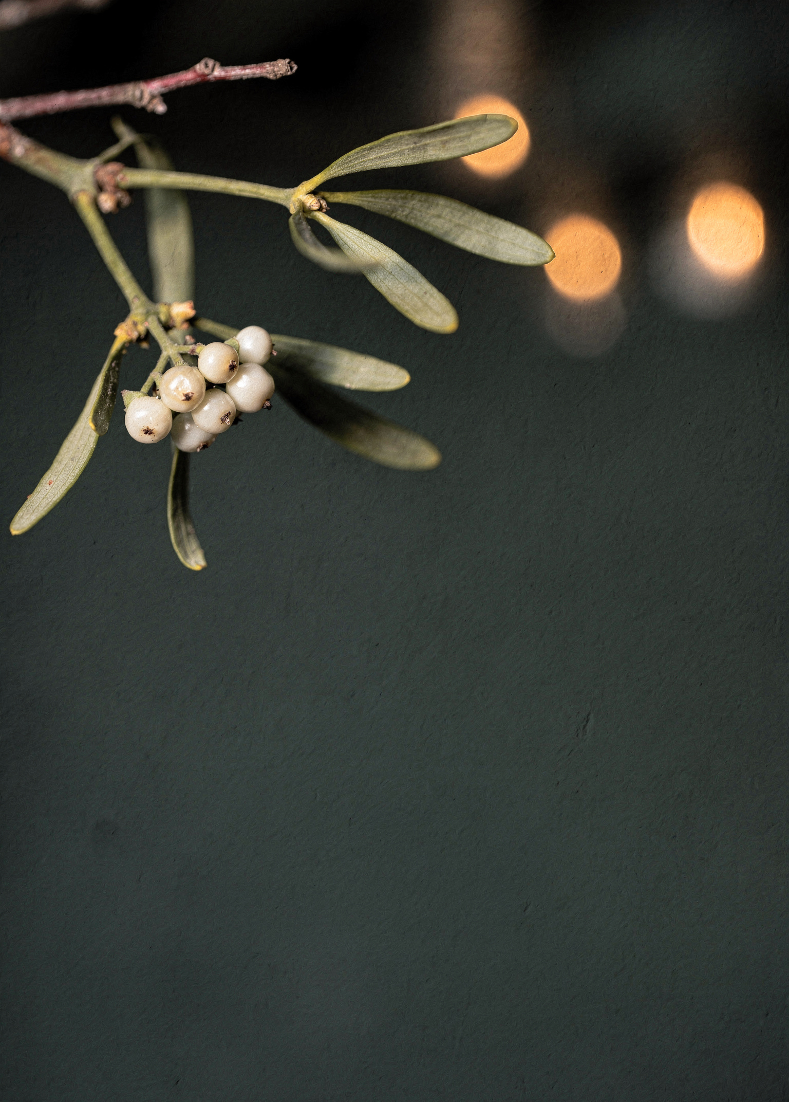 Mistletoe Dusk poster