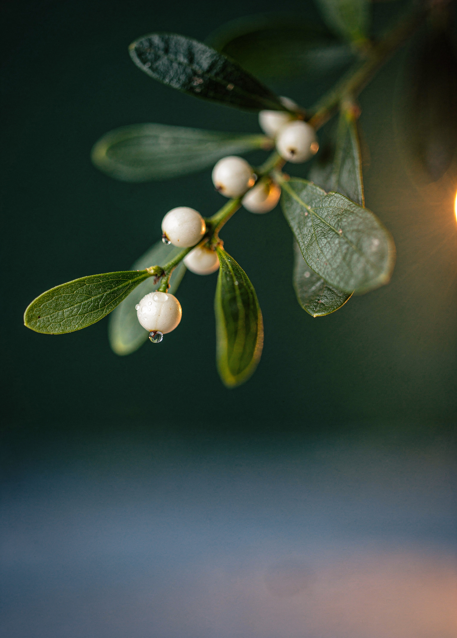 Mistletoe in Candlelight poster