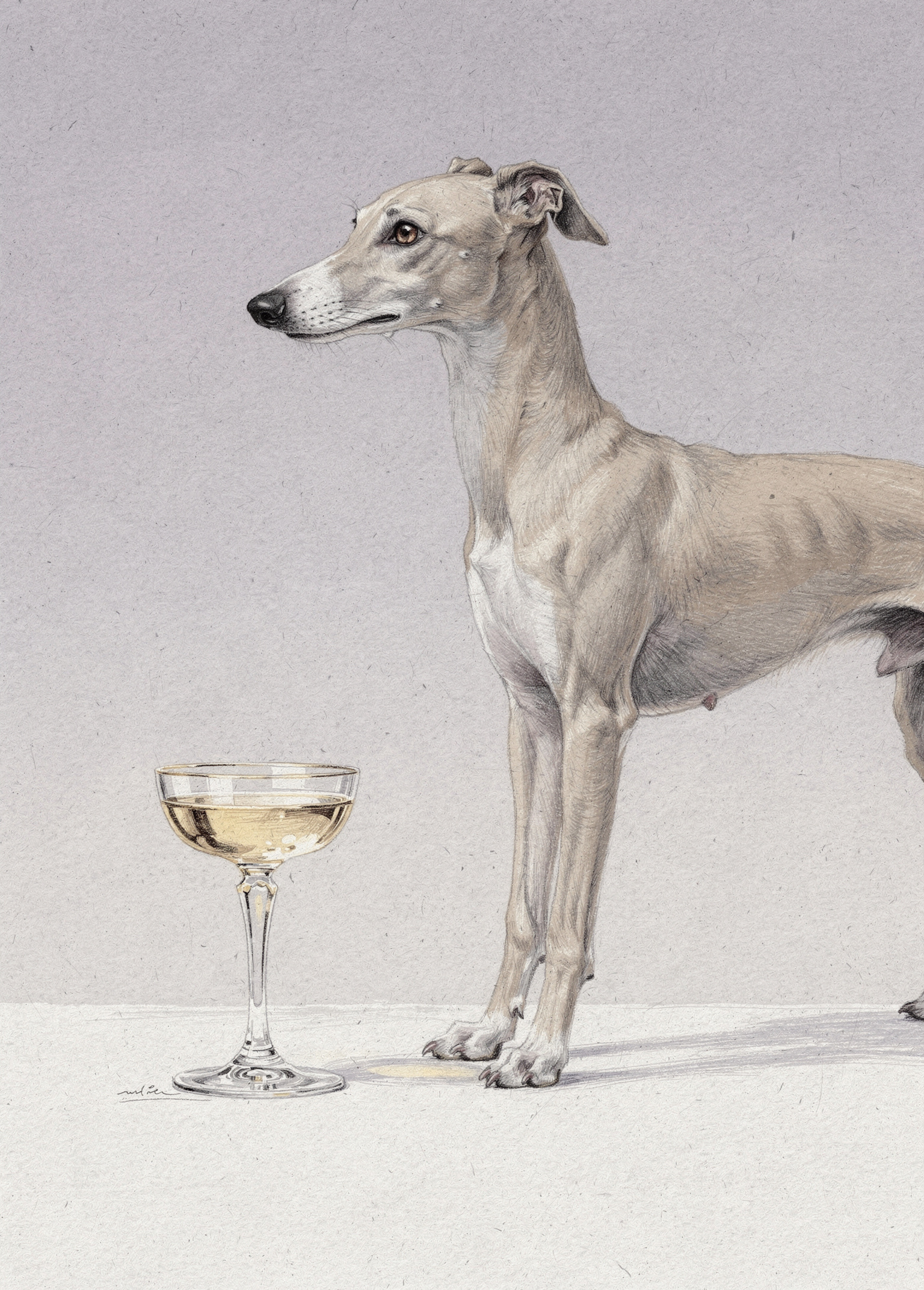 Whippet Fizz poster